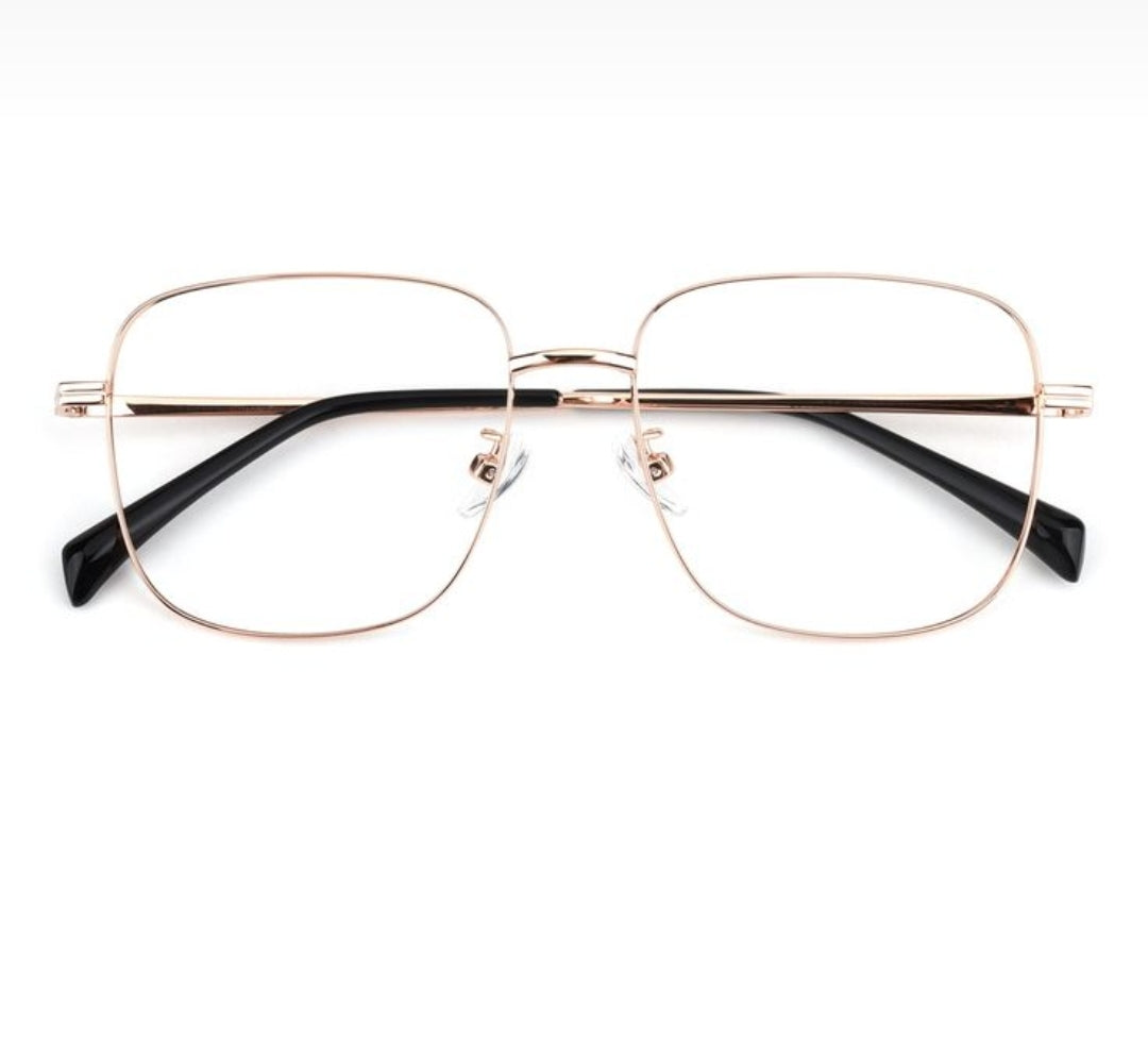 Metal Frame AL-20014