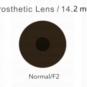 Brown Polycarbonate Prosthetic Contact Lens - Eye Lens 